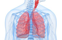 Image depicting Respiratory Health
